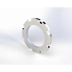Borgmoer voor Carmina/Vega spider