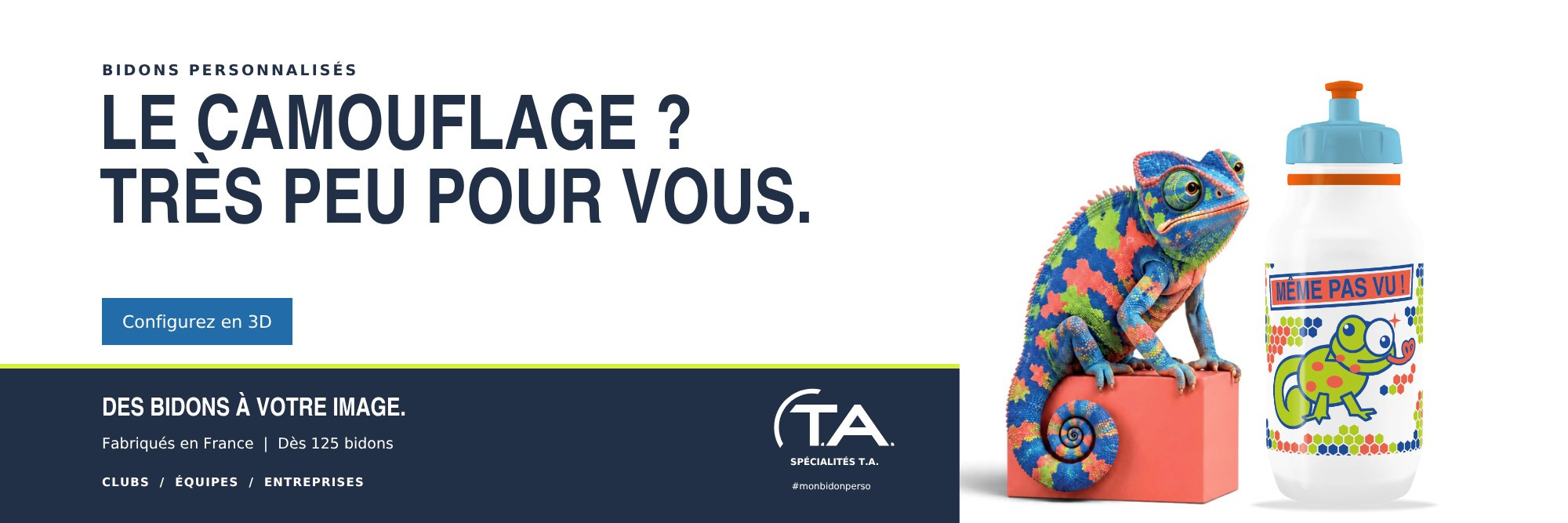 TA Slide 02 Cameleon FR 2000x667