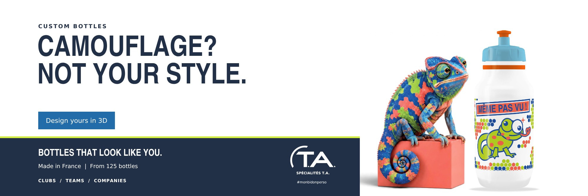 TA Slide 02 Cameleon GB 2000x667